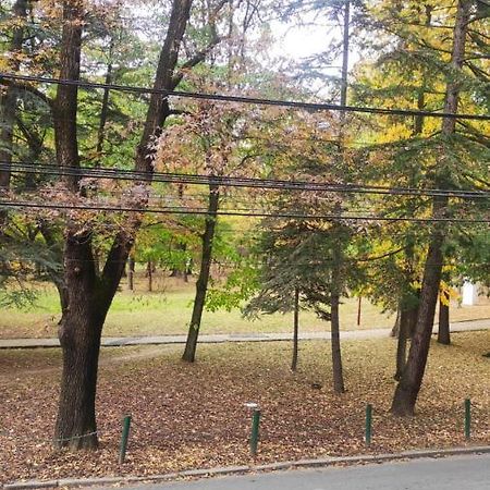 아란젤로바츠 Centar_Park 아파트 외부 사진